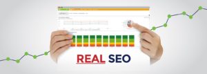 Search Engine Optimization