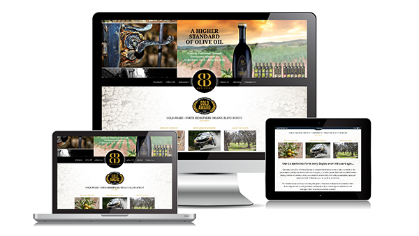 web design winston salem